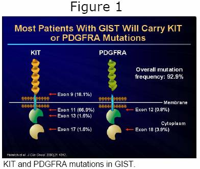 Figure 1: KIT and PDGFRA Mutations