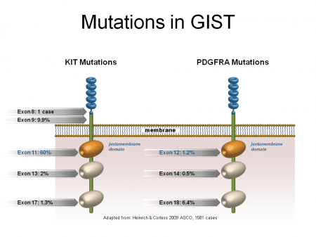 GIST KIT & PDGFRA Mutations