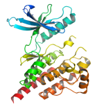 promising-future-treatments-tyrosine-kinase-inhibitor