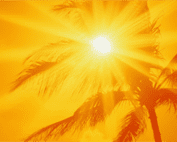 Sun Safety Article Photo of Sunshine