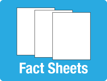 Illustration of a icon for fact sheets