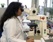 Pathologist working at microscope
