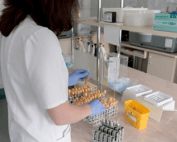Clinical Trial