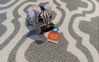 NORD 2020 zebra
