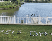 Water of Life 2021 Feis Off!