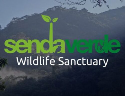 La Senda Verde Wildlife Sanctuary Tour