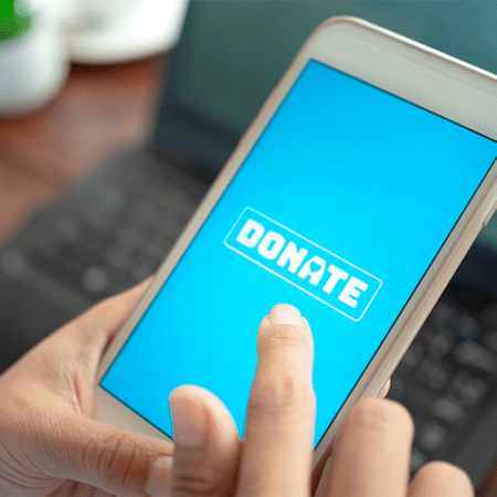 Donate Now Online or By Check